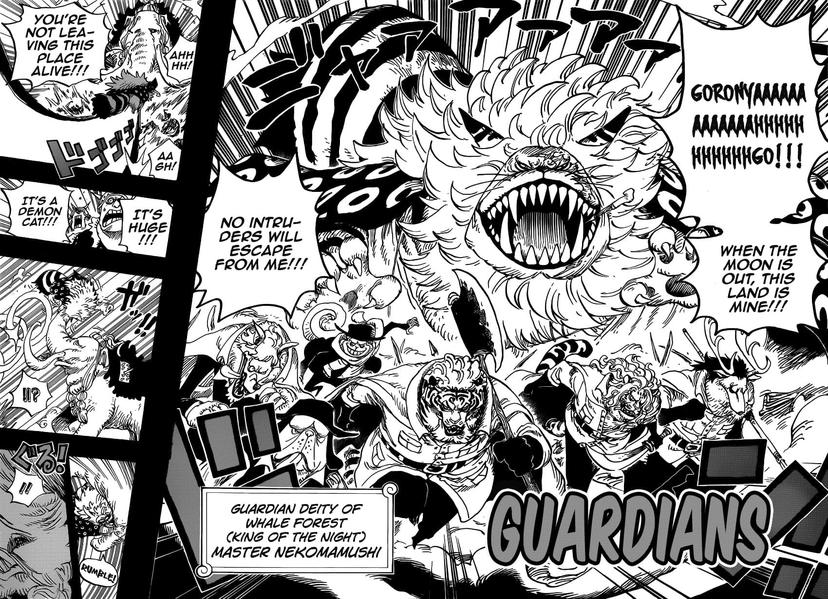 One Piece, Chapter 809 image 16